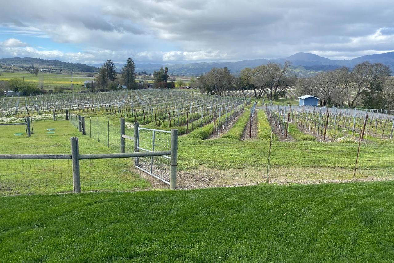 Alexander Valley Retreat Healdsburg Dış mekan fotoğraf