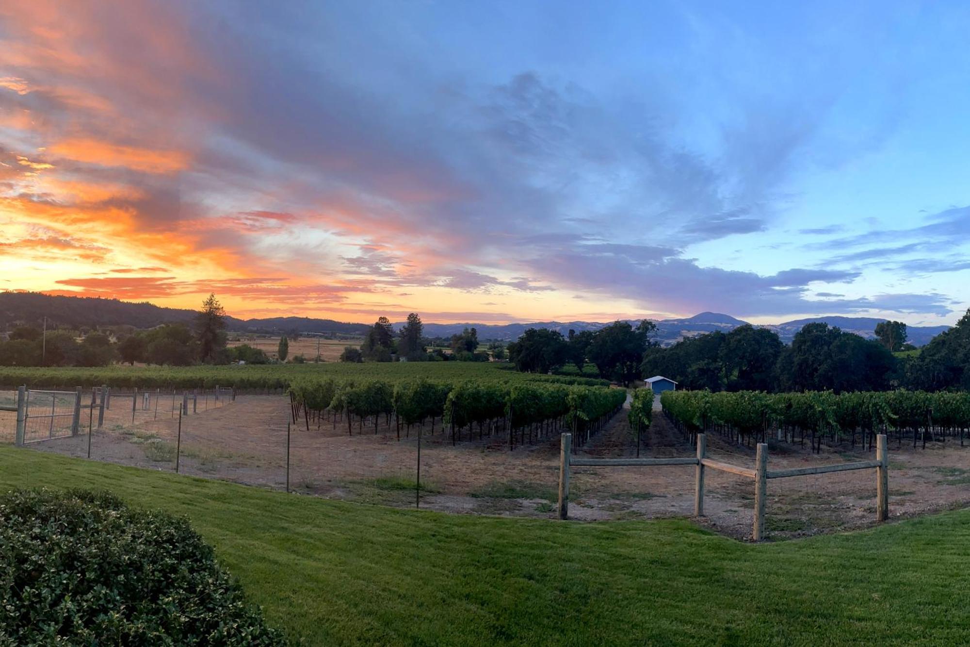 Alexander Valley Retreat Healdsburg Dış mekan fotoğraf